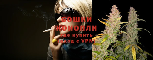ГАЛЛЮЦИНОГЕННЫЕ ГРИБЫ Белокуриха