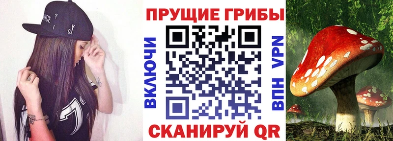 Псилоцибиновые грибы Psilocybine cubensis  Купить  Талица 